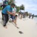 Pangdam Iskandar Muda Mayjen TNI Hassanudin melepas tukik (anak penyu hijau) di Pantai Gampong Teluk Nibung, Kecamatan Pulau Banyak, Aceh Singkil, Ahad (25/10)