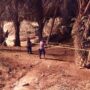 Lokasi sumur minyak warga usai kebakaran di Desa Mata Ie, Kecamatan Ranto Peureulak, Aceh Timur