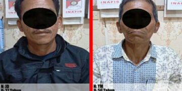 Penyidik Satreskrim Polres Aceh Timur menangkap dua orang tersangka yang diduga telah melakukan tindak pidana terhadap satwa yang dilindungi yakni pembunuhan tiga ekor Harimau Sumatra di Peunaron