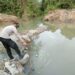 Lokasi alur tempat kakak dan adik tenggelam dan meninggal dunia di Gampong Blang Gleum, Kecamatan Julok, Aceh Timur, Sabtu (13/8/2022)