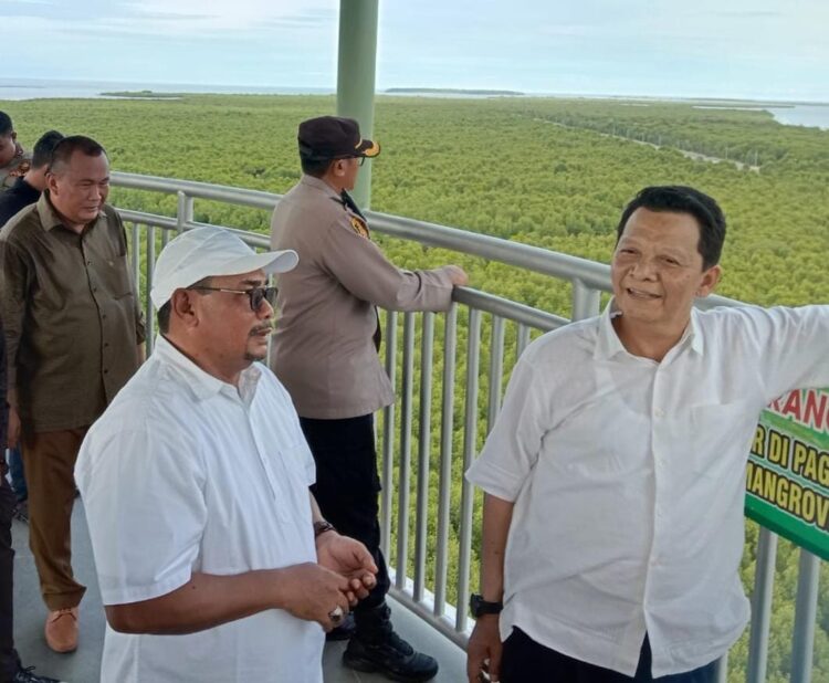 Pj.Gubernur Aceh Achmad Marzuki didampingi Pj Wali Kota Langsa Said Mahdum Majid, saat meninjau hutan mangrove, di Kota Langsa, Sabtu (22/10/2022)