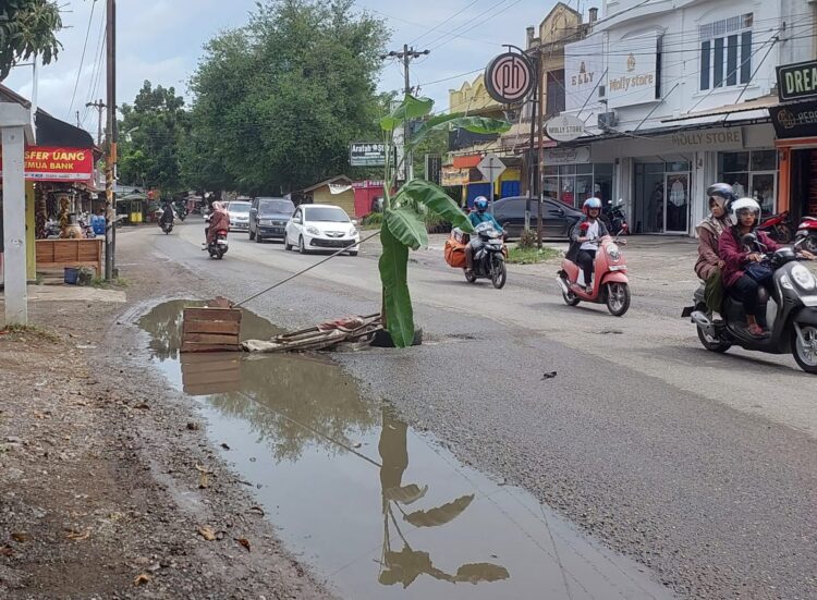 Warga tanam pohon pisang di tengah jalan T Iskandar Lambhuk Banda Aceh, yang rusak dan berlubang, Ahad (11/12)