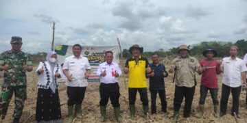 Pj Bupati Aceh Jaya Dr Nurdin meluncurkan Gerakan Penanaman Singkong (GEUPEKONG) di kawasan Komplek BBU Pangan Gampong Padang, Kecamatan Setia Bakti, Aceh Jaya, Rabu (28/12)