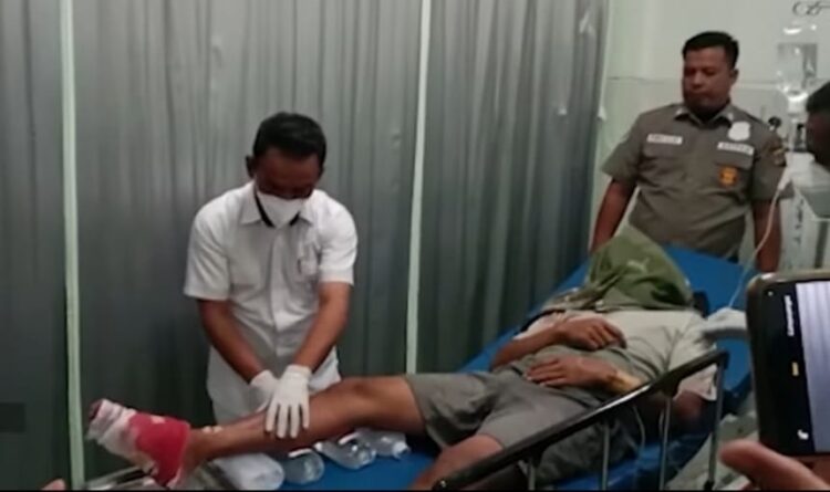 Dua petani mengalami luka-luka kritis diterkam Harimau Sumatera di di Gunung Sampali Desa Koto, Kluet Tengah Aceh Selatan, Rabu dini hari (1/2/2023)