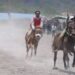 Sebanyak 288 ekor kuda dari lima kabupaten mengikuti Pacuan Kuda Tradisional Gayo dalam rangka memeriahkan HUT ke-446 Kota Takengon Tahun 2023