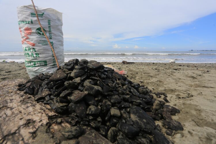 Batu bara yang diangkut oleh PT Mifa Bersaudara kembali tumpah di pesisir pantai Desa Peunaga Rayeuk, Kecamatan Meureubo, Aceh Barat, Selasa (14/3)