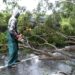 Tim BPBD Aceh Besar membantu membersihkan pohon tumbang di Gampong Seulimuem, Kecamatan Seulimuem, Sabtu sore (6/5/2023)