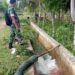 Prajurit TNI menyedot air dari kolam Rindam IM Mata Ie untuk membantu mengatasi kesulitan warga yang sawahnya kekeringan di Kecamatan Darul Imarah, Aceh Besar