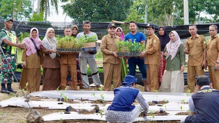 Kepala Dinas Pertanian Aceh Besar Jakfar SP MSi, Camat Kuta Cot Glie bersama Pemuda Hareukat Tani Gampong Lambeugak Kecamatan Kuta Cot Glie, saat meluncurkan gerakan tanam cabai