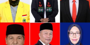 Enam caleg terpilih dari Dapil 4 DPRA (Aceh Tengah-Bener Meriah) yakni Diana Putri Amelia dari Golkar, Salihin dari PKB, Salwani dari PDIP, Taufik dari Gerindra, Rahmuddinsyah dari PA dan Sutarmi dari Nasdem