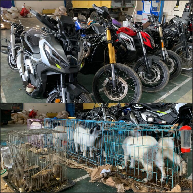 Bea Cukai Langsa dan tim gabungan berhasil melakukan penindakan terhadap penyelundupan barang ilegal berupa sepeda motor, sparepart dan hewan