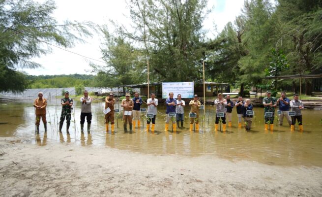PT PLN Unit Induk Distribusi Aceh melalui program TJSL menanam sebanyak 20.000 pohon mangrove tesebar di Kabupaten Aceh Jaya. (Foto: Dok. PLN Aceh)