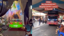 Ⓒ Hak cipta foto di atas dikembalikan sesungguhnya kepada pemilik foto
