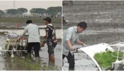 Netizen Salfok, Wapres Gibran Tanam Padi Malah Injak-injak Sawah
