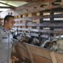 Aipda Teuku Abdullah, Anggota polisi di Polsek Darul Kamal, Polresta Banda Aceh, yang sukses dengan usaha ternak kambing. (Foto: For Infoaceh.net)