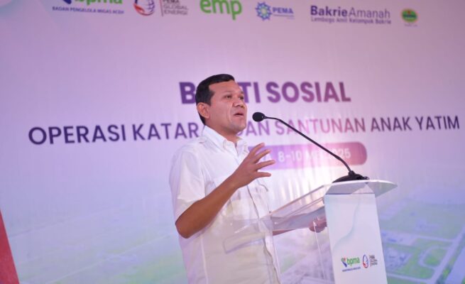 Wakil Gubernur Aceh Fadhlullah