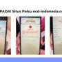 Kanwil DJBC Aceh mengingatkan pelancong dari luar negeri yang akan masuk Indonesia, untuk mewaspadai situs palsu pengisian ECD