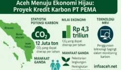 PT PEMA Garap Proyek Karbon Raksasa, Potensi Ekonomi Tembus Rp3 Triliun per Tahun
