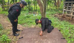 Tim Penjinak Bom Detasemen Gegana Satuan Brimob Polda Aceh saat melakukan pemusnahan bom proyektil tank aktif yang ditemukan warga di Desa Lampaya, Kecamatan Lhoknga, Aceh Besar, Sabtu (10/5/2025). (Foto: Dok. Sat Brimobda Aceh)
