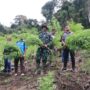 Kodim 0113/Gayo Lues bersama BNNK melaksanakan pemusnahan ladang ganja seluas 3 hektare di kawasan pegunungan Desa Ekan, Kecamatan Pining