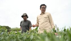 Ketua DPRK Banda Aceh Irwansyah mengunjungi Khairul Halim, petani cabai asal Gampong Rukoh, Kecamatan Syiah Kuala, yang viral di media sosial. (Foto: For Infoaceh.net)