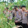 Kapolres Sabang AKBP Sukoco saat menghadiri panen jagung di Gampong Batee Shoek, Kecamatan Sukamakmue, Rabu (14/5). (Foto: Infoaceh.net/Andi Armi)