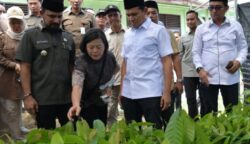 Wakil Gubernur Aceh, Fadhlullah bersama Bupati Aceh Timur, Iskandar Usman Alfarlaky saat peresmian Pengembangan Kakao (Cocoa Development Center) di Birem Bayeun Kabupaten Aceh Timur, Jum'at (16/5/2025)