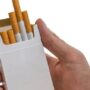 Wamenperin: Penyeragaman Bungkus Rokok Batal, Industri Tembakau Lokal Aman