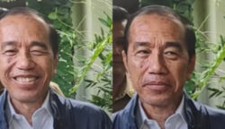 Siapa yang Salah akan Jatuh