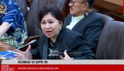 Wakil Ketua Komisi VII DPR Evita Nursanty