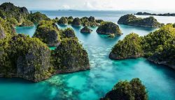 Hipmi Dukung Pemerintah Cabut Empat IUP di Raja Ampat