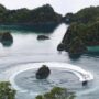 Perahu Boat melintasi kawasan wisata Piaynemo di Raja Ampat