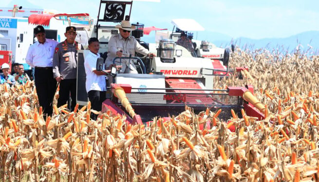 Swasembada Jagung (doc: istimewa)