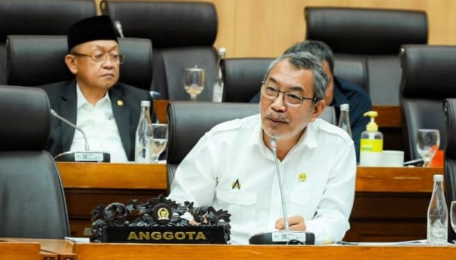 Anggota Komisi XII DPR RI Alfons Manibu.