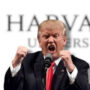 Gugatan Dikabulkan, Harvard Menang Lawan Trump