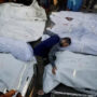 Israel Jalankan Pembantaian Skala Penuh, 81 Syahid di Gaza