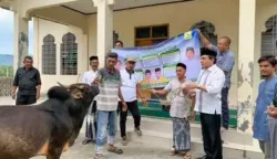 Satu ekor sapi qurban Partai Golkar Aceh diserahkan kepada masyarakat Gampong Cot Madhi, Kecamatan Blang Bintang, Aceh Besar.
