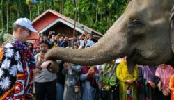 Duta Besar Inggris untuk Indonesia, Dominic Jermey didampingi Menteri Kehutanan Raja Juli Antoni meninjau progres program Inisiatif Konservasi Gajah Peusangan di Kampung Karang Ampar, Kecamatan Ketol, Aceh Tengah Kamis (19/6). (Foto: For Infoaceh.net)