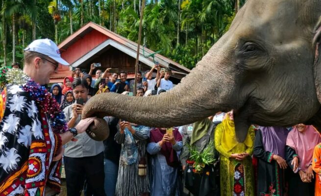 Duta Besar Inggris untuk Indonesia, Dominic Jermey didampingi Menteri Kehutanan Raja Juli Antoni meninjau progres program Inisiatif Konservasi Gajah Peusangan di Kampung Karang Ampar, Kecamatan Ketol, Aceh Tengah Kamis (19/6). (Foto: For Infoaceh.net)