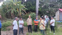 Bupati Aceh Selatan Mirwan MS didampingi Camat Meukek Tahta Amrullah bersama tokoh masyarakat meninjau dan mencari solusi sawah kering kerontang, Ahad (29/6/2025). (Foto: Ist)