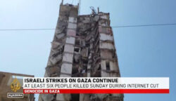 Serangan Israel di Gaza Tewaskan 71 Orang, Sekitar 14 Orang Tewas di Wilayah Utara