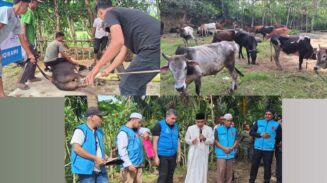 Suasana penyembelihan hewan kurban bantuan Turki untuk masyarakat Aceh yang dipusatkan di Gampong Lagang, Kecamatan Darul Imarah, Aceh Besar, Jum'at, 6 Juni 2025.