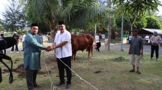 Penyerahan hewan kurban dilakukan secara simbolis oleh Kapolda Aceh Irjen Pol Achmad Kartiko Jum'at pagi (6/6), bertempat di Lapangan Ditreskrimum Polda Aceh. (Foto: For Infoaceh.net)