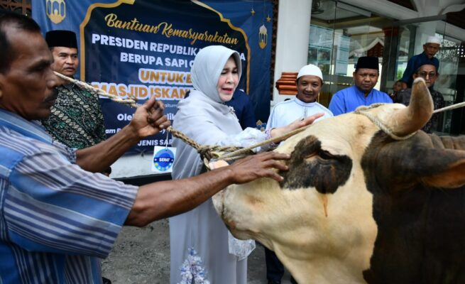 Wali Kota Banda Aceh Illiza Sa’aduddin Djamal menyerahkan sapi kurban Presiden Prabowo Subianto kepada BKM Iskandar Muda Gampong Peuniti, Sabtu (7/6). (Foto: For Infoaceh.net)