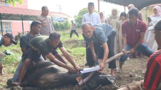 Polresta Banda Aceh menyembelih 8 hewan kurban dalam momen Hari Raya Idul Adha 1446 Hijriah di Polsek Kutaraja, Banda Aceh, Sabtu pagi (7/6).