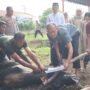Polresta Banda Aceh menyembelih 8 hewan kurban dalam momen Hari Raya Idul Adha 1446 Hijriah di Polsek Kutaraja, Banda Aceh, Sabtu pagi (7/6).