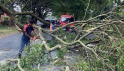 Penanganan pohon tumbang di jalan nasional Banda Aceh-Medan, Gampong Sibreh Keumude I dan Gampong Reuhat Tuha, Kecamatan Suka Makmur, Aceh Besar, Sabtu (7/6). (Foto: Dok. BPBD ACEH BESAR)