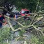 Penanganan pohon tumbang di jalan nasional Banda Aceh-Medan, Gampong Sibreh Keumude I dan Gampong Reuhat Tuha, Kecamatan Suka Makmur, Aceh Besar, Sabtu (7/6). (Foto: Dok. BPBD ACEH BESAR)