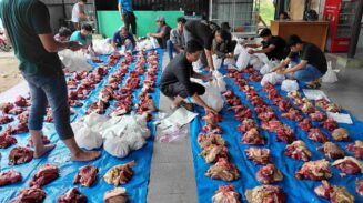 Universitas Muhammadiyah Aceh (Unmuha) menggelar penyembelihan 15 ekor hewan kurban