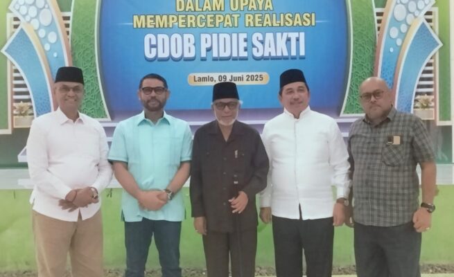 Sejumlah tokoh Kabupaten Pidie berkumpul di Lamlo, Kecamatan Sakti, Senin (9/6), dalam rangka konsolidasi percepatan realisasi CDOB Pidie Sakti. (Foto: Ist)